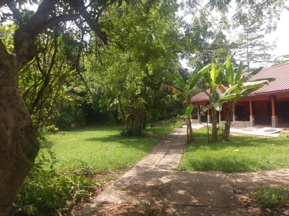 Big Foot Safari Lodge Wli Afegame Esterno foto